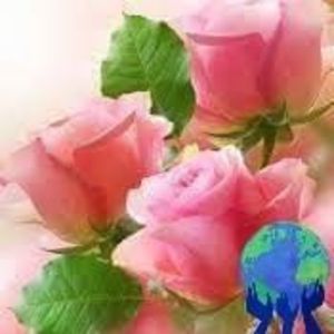 Meet your Posher, Kawkab